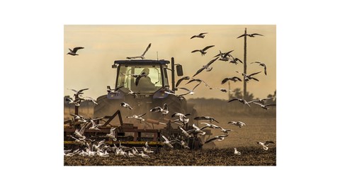 1º lugar aficionado máquinas Verkuyl Victor Marcelo - Cuando el sol pierde su bravura