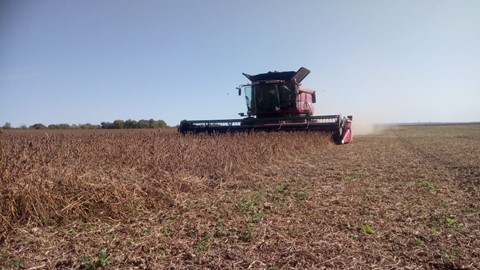 Case IH Axial-Flow 6140 combines