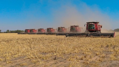 La potencia de Case IH, firme en los campos argentinos