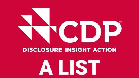 CDP A List 2021