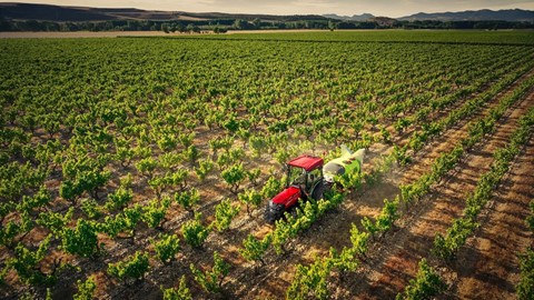 CASE IH_QUANTUM_80V_FIELDWORK