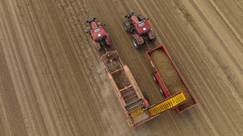 case ih at potato europe fair 3