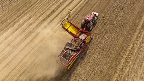 case ih at potato europe fair 1