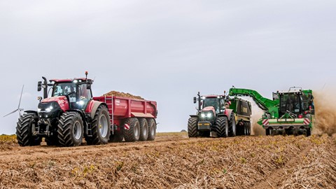 case ih at potato europe fair 4
