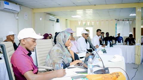case ih g c 1
