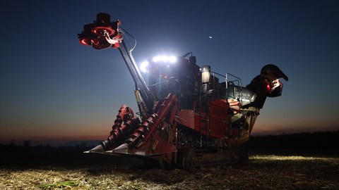 Case IH s Austoft harvesters gain traction among Thai sugarcane farmers