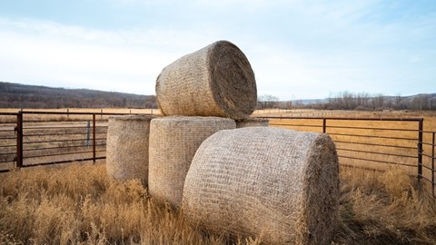 CNH invests in compostable Bale Wrap solution