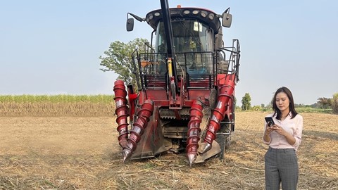 Connected Farm Female farm manager breaks new ground in Thailand