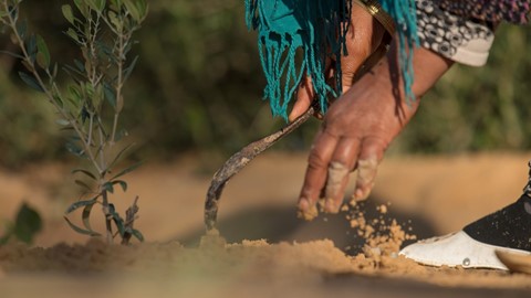 Oxfam CNH project in Tunisia