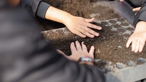 Alunos da Apae contratados pelo projeto Cultivando Cidadania