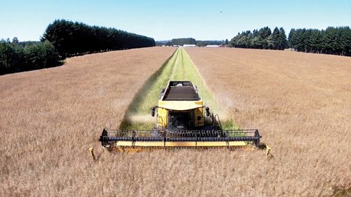 M s de 20 A os de confianza en New Holland y SKC Rural S A potencia su producci n con tecnolog a de vanguardia