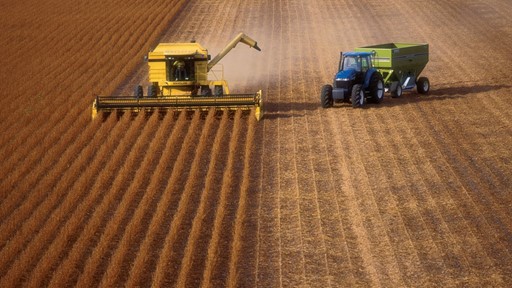 A yellow combine harvester and a green tractor are working in a vast agricultural field. The field is divided into neatly arranged rows of harvested crops, showcasing a rich golden-brown color. The background features a clear sky and distant farmland, emphasizing the rural landscape.