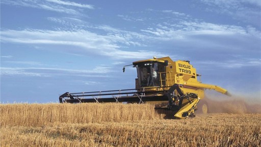 A yellow combine harvester working in a golden wheat field under a clear blue sky. The machine is cutting through the tall stalks of wheat, with dust being kicked up in the air.