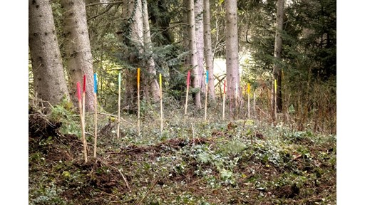 STEYR TRAKTOREN AND AGDW PARTNER TO CULTIVATE CLIMATE AWARENESS IN CHILDREN THROUGH FORESTRY INITIATIVE