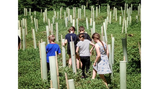 STEYR TRAKTOREN AND AGDW PARTNER TO CULTIVATE CLIMATE AWARENESS IN CHILDREN THROUGH FORESTRY INITIATIVE