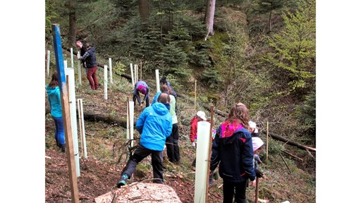 STEYR TRAKTOREN AND AGDW PARTNER TO CULTIVATE CLIMATE AWARENESS IN CHILDREN THROUGH FORESTRY INITIATIVE