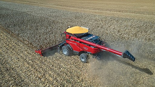 A red Case IH combine harvester is actively harvesting a large golden cornfield under a clear blue sky, with harvested corn visible in the machine's grain tank and dust rising from the cutting area.