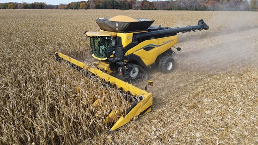 A yellow combine harvester is actively harvesting a large cornfield during autumn, with dry corn stalks being cut and collected, and a forest with colorful fall foliage visible in the background.