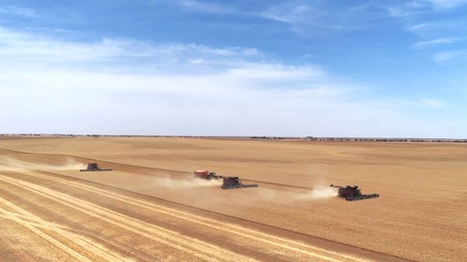 New Case IH combine series shines during demanding harvest with impressive levels of performance and efficiency