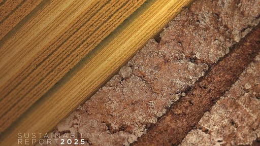 CNH Sustainability Report 2025 Cover Image