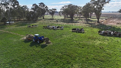 Tracing tractor tech across generations from a heritage Ford 2000 Offset to fuel efficient New Holland workhorses