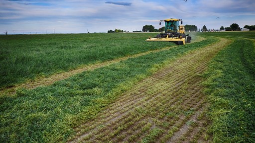 A large yellow agricultural mower cutting green crops in a vast field under a partly cloudy sky, with visible rows of freshly cut plants and a bird flying above.