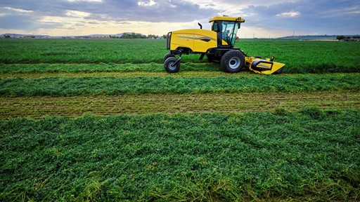 A yellow New Holland agricultural mower operating in a green field under a cloudy sky, cutting rows of grass or crops.