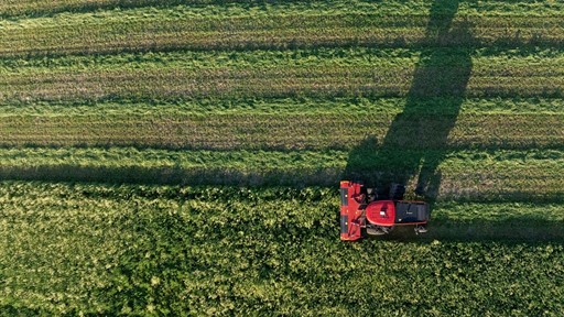 WD2506 windrower