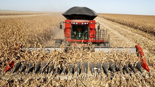 Plataforma de Milho Case IH