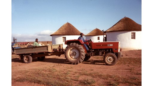 STEYR Historical Tractors 80 Series HISTSTEYR102
