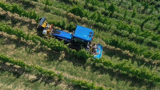 A blue tractor is driving through rows of green grapevines in a vineyard, viewed from above on a sunny day. The tractor is equipped with farming machinery for vineyard maintenance.