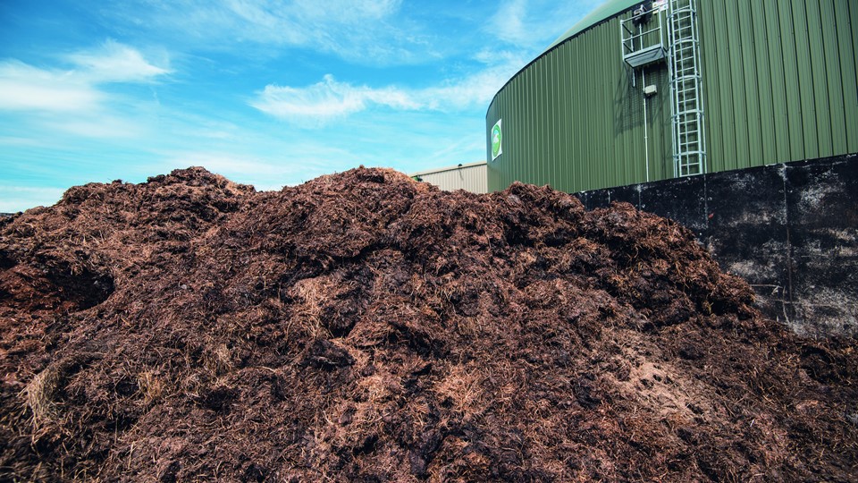 Animal waste can be repurposed and fed into the biodigester to generate  biogas