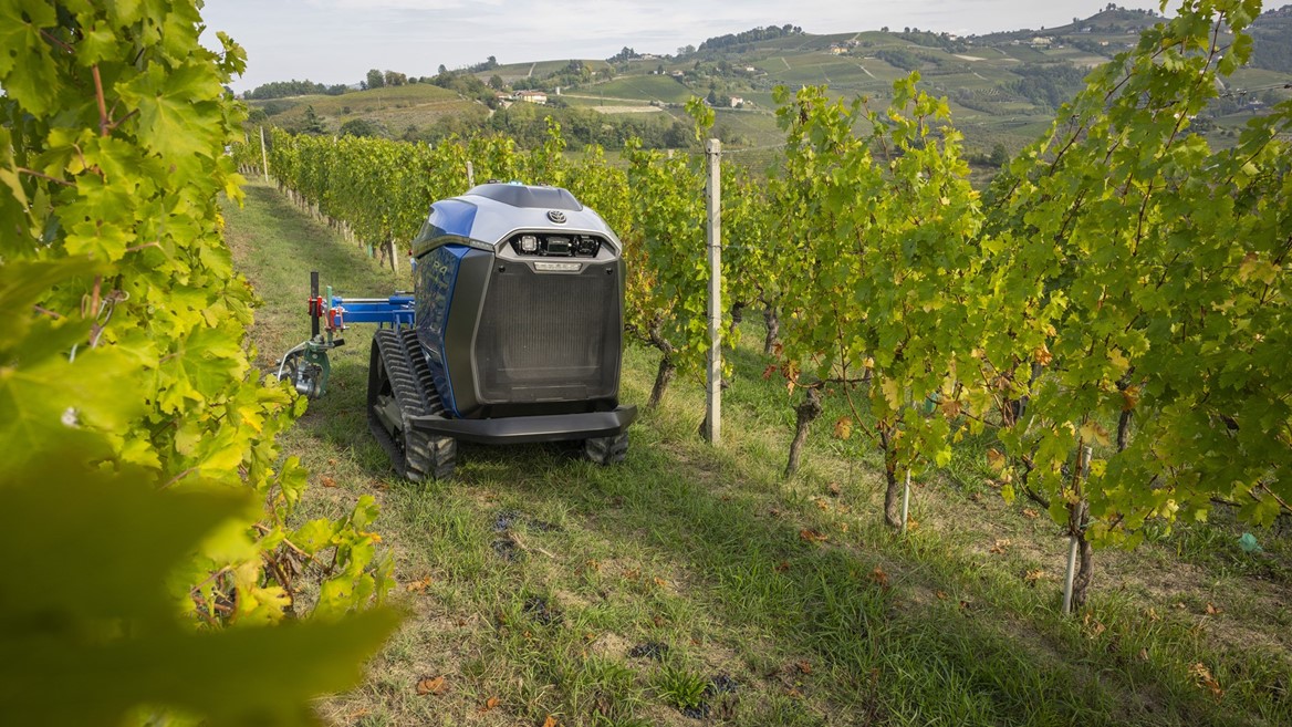 Autonomous agricultural robot navigating between rows of grapevines in a vineyard with rolling hills in the background under a cloudy sky.