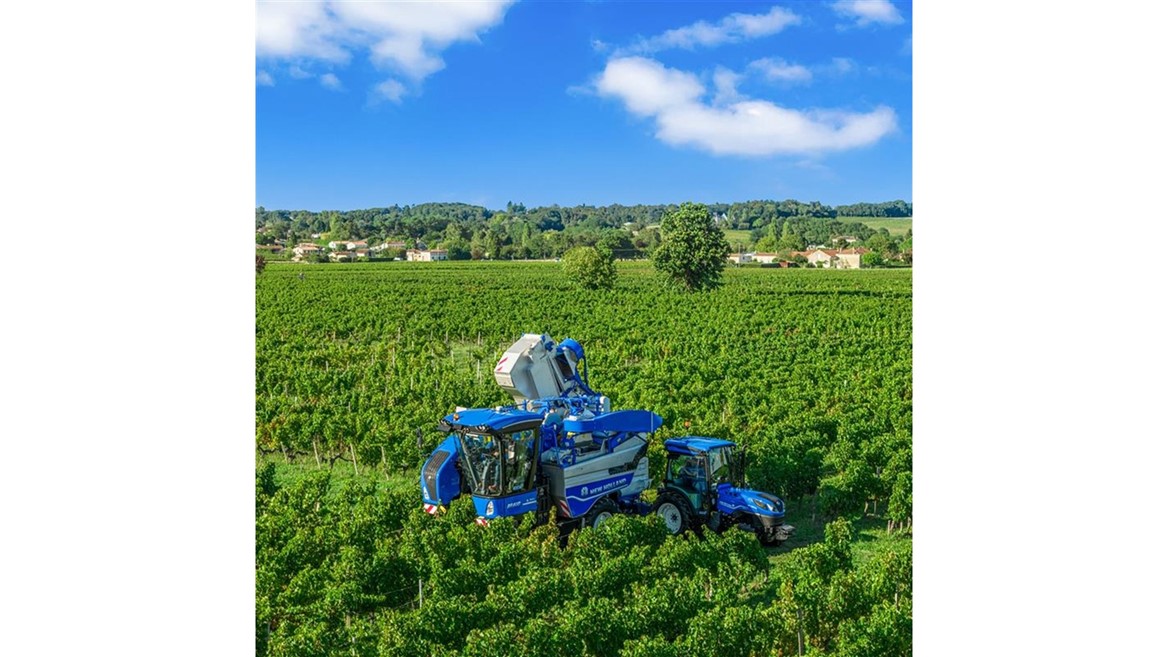 A large blue grape harvester machine and a blue tractor working in a lush green vineyard under a bright blue sky with scattered white clouds, with a backdrop of trees and distant houses.