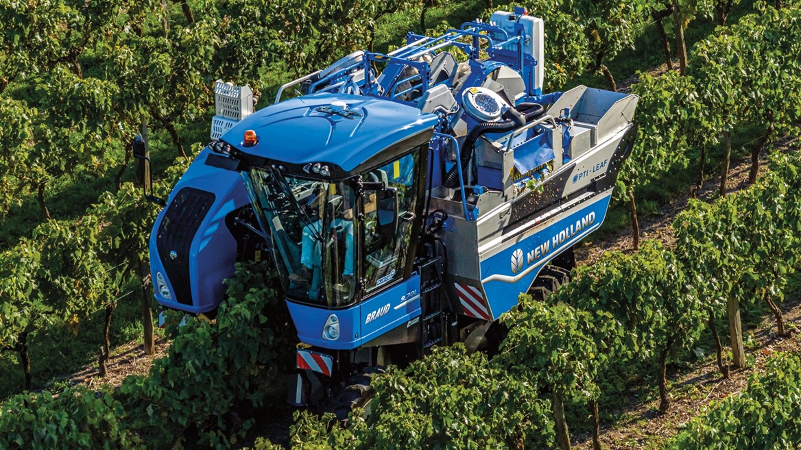 A blue New Holland Braud grape harvester machine operating in a vineyard, moving between rows of green grapevines during harvest season.