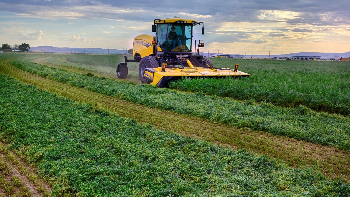 A yellow agricultural harvester machine cutting and collecting green crops in a vast field under a cloudy sky during sunset.