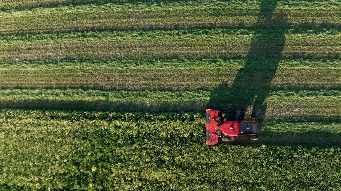 WD2506 windrower