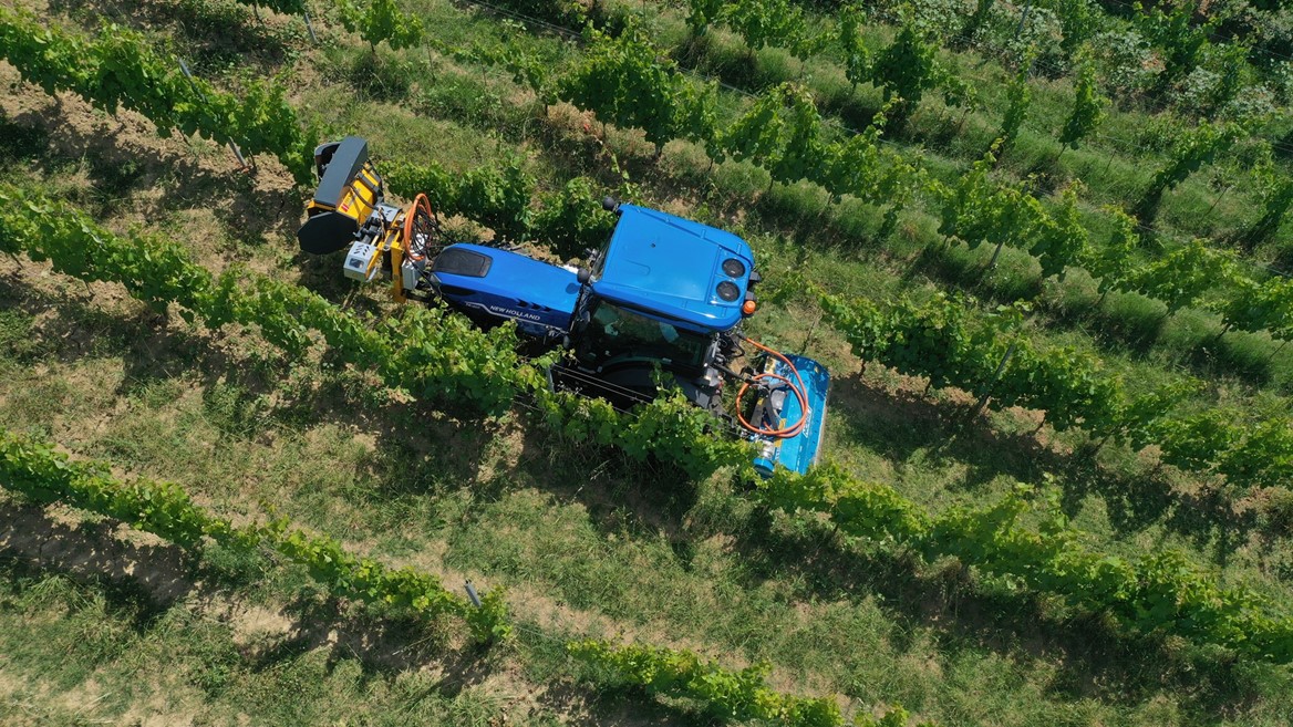 A blue tractor is driving through rows of green grapevines in a vineyard, viewed from above on a sunny day. The tractor is equipped with farming machinery for vineyard maintenance.