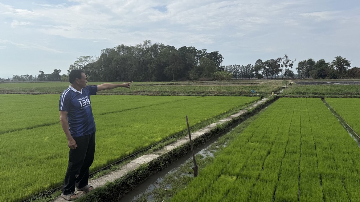 CNH equipment helps Thai rice farmer replace stubble burning Rice Farm