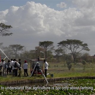 Behind The Wheel: The Challenge to Develop Sustainable Agriculture