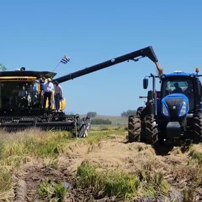 New Holland Agriculture acompaña al sector arrocero