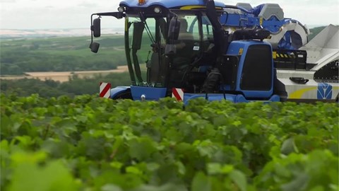 cnh-industrial-behind-the-wheel---new-holland-grape-harvester