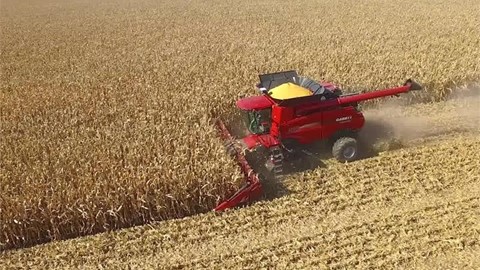 9240-series-combine-and-4418-narrow-row-corn-head