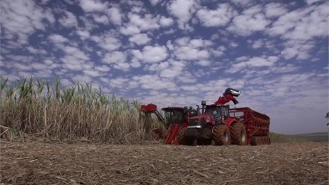 Behind the Wheel: Simply the best – 75 years of mechanized sugar cane harvesting