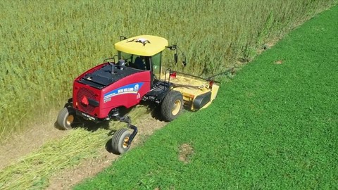 behind-the-wheel--the-industrial-hemp-harvest