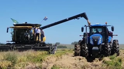 New Holland Agriculture acompaña al sector arrocero