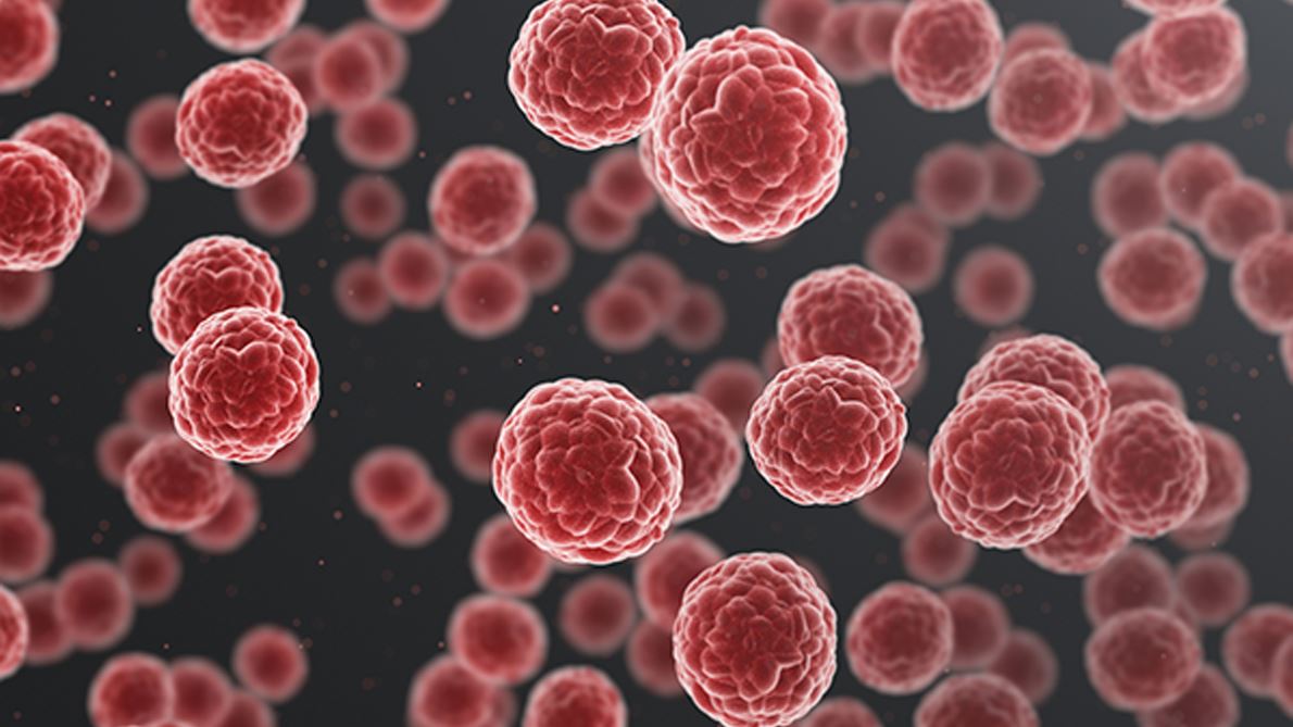 Cancer Cells