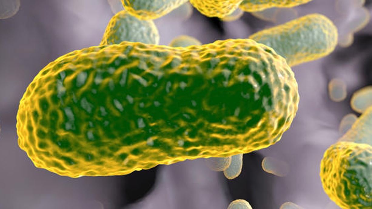 Forgotten Antibiotic From Decades Ago Could Be a Superbug Killer