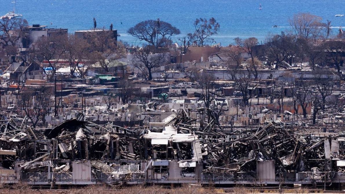The doctors dentists and anthropologists striving to identify Maui s victims