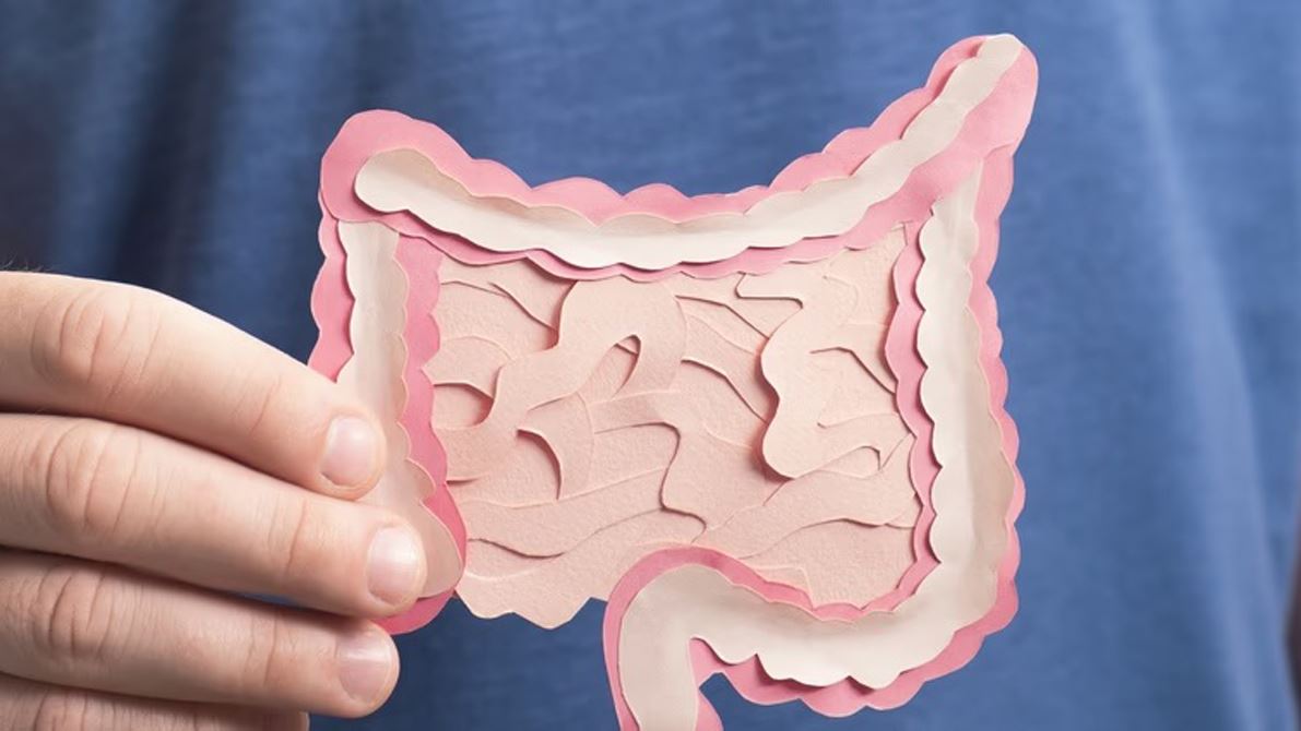 What is your gut microbiome?